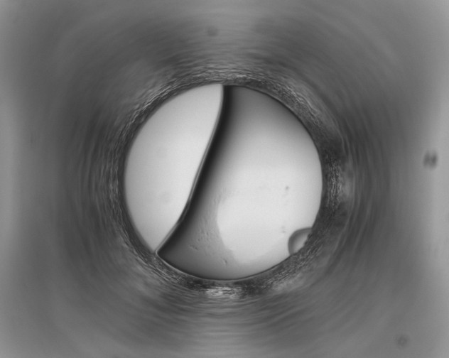 X0000096480700200801241147