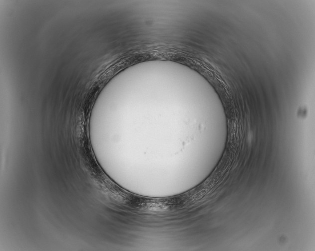 X0000096480702200801241147