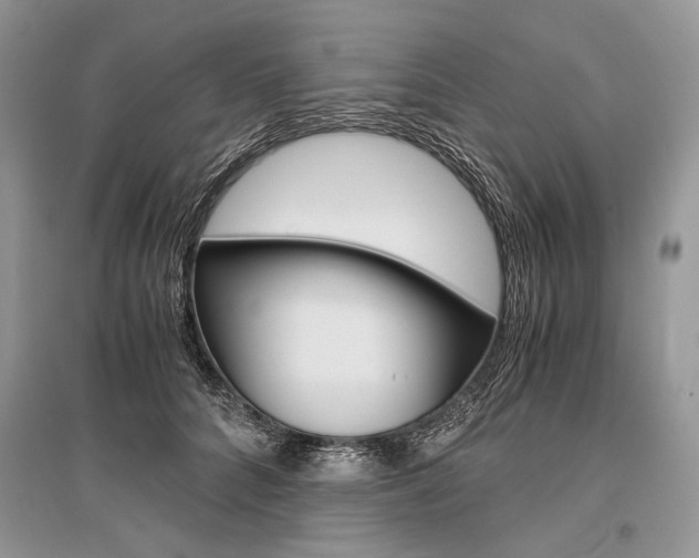X0000096480704200801241147