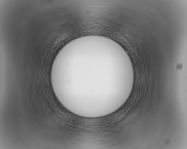 X0000096480705200801241147