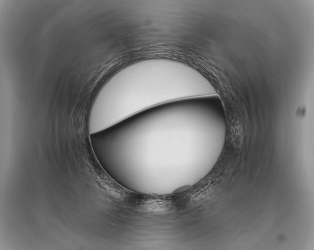 X0000096480708200801241147