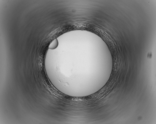 X0000096480710200801241147