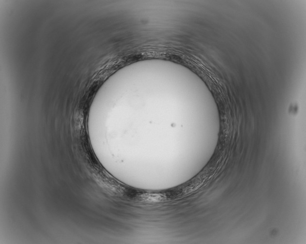 X0000096480711200801241147