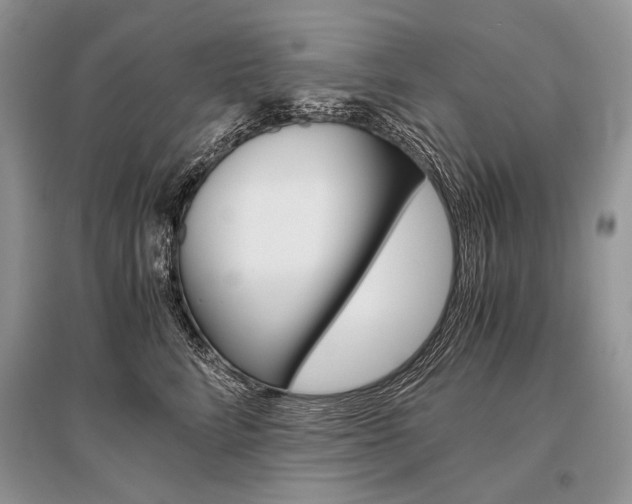 X0000096480712200801241147