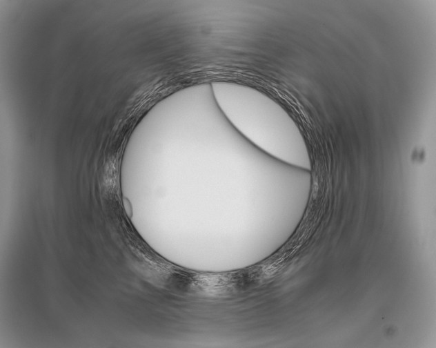 X0000096480713200801241147