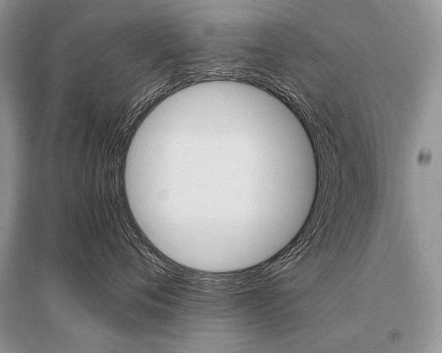 X0000096480720200801241146