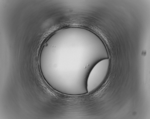 X0000096480721200801241146