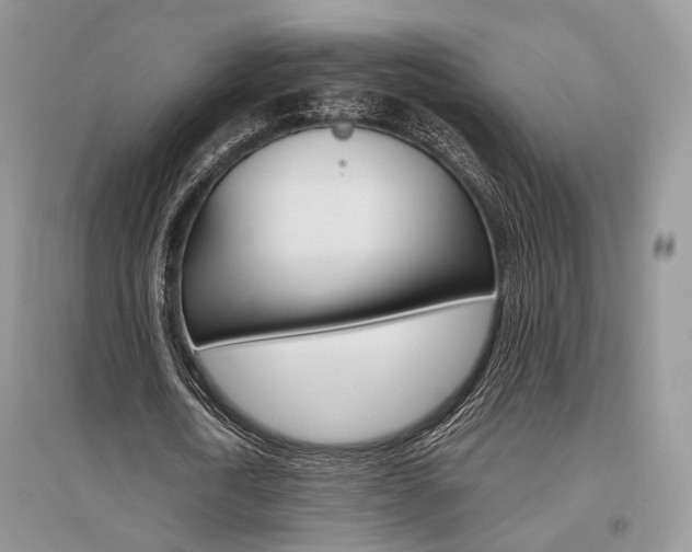 X0000096480722200801241146