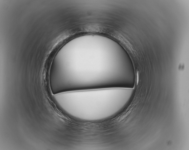 X0000096480723200801241146