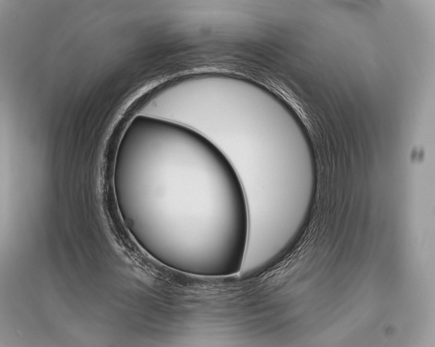 X0000096480724200801241146