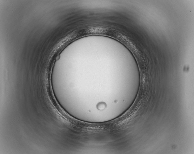 X0000096480725200801241146