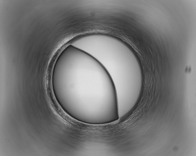 X0000096480726200801241146