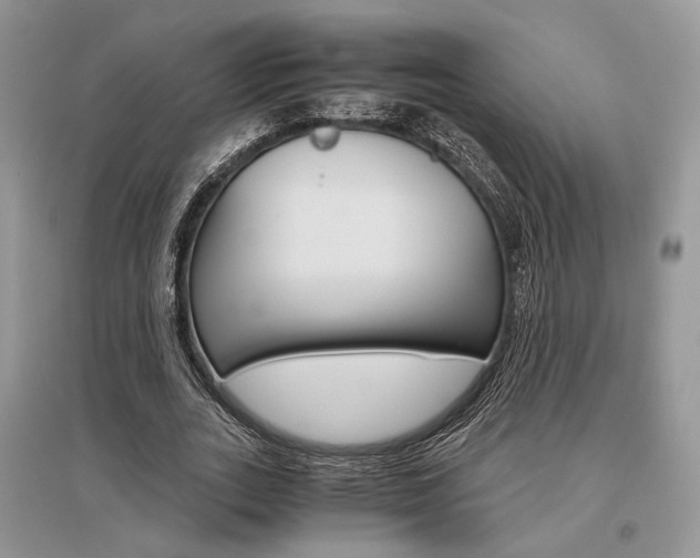 X0000096480727200801241146