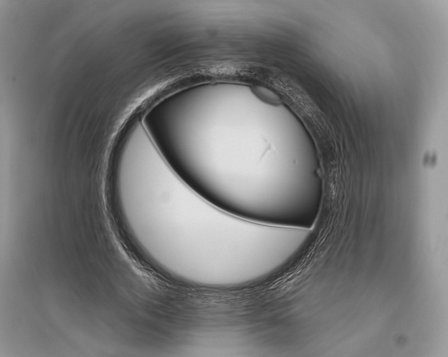 X0000096480728200801241146