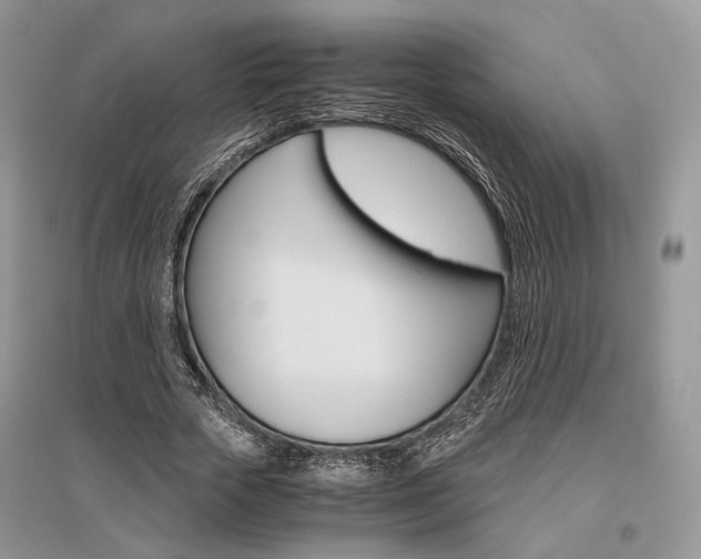 X0000096480729200801241146