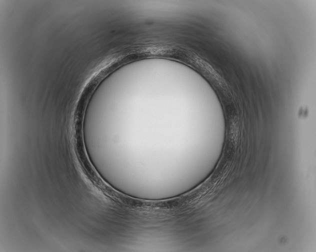 X0000096480730200801241146