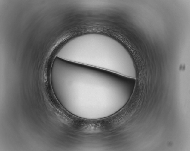 X0000096480731200801241146