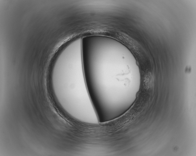X0000096480732200801241146