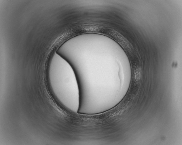 X0000096480733200801241146