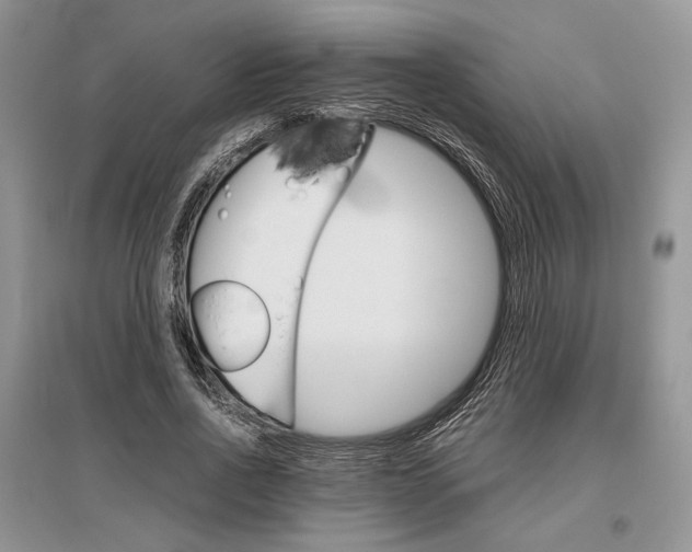 X0000096480734200801241146