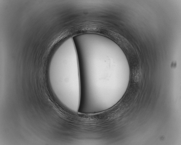 X0000096480735200801241146