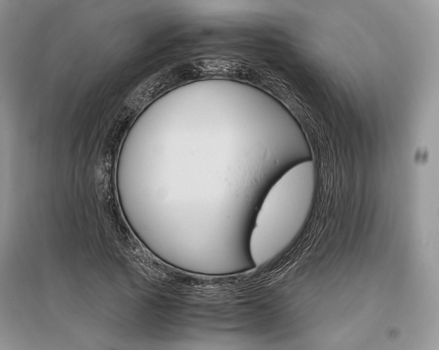 X0000096480737200801241146