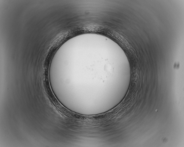 X0000096480738200801241146