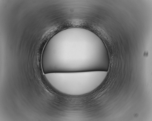 X0000096480740200801241146