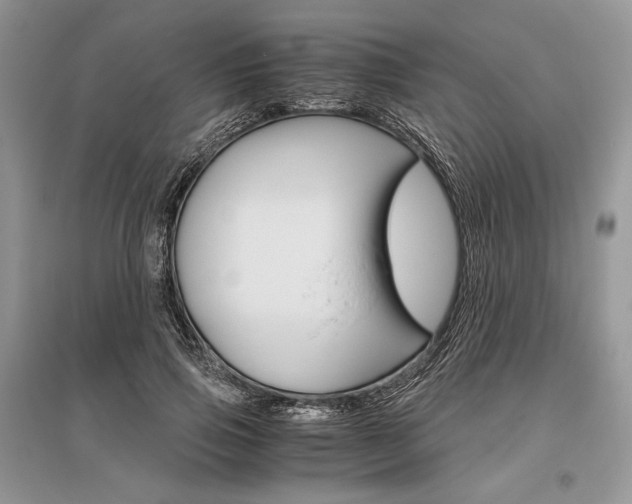 X0000096480741200801241146