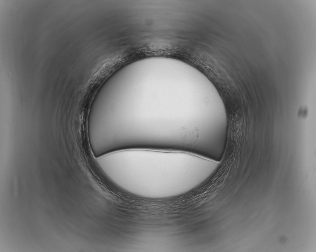 X0000096480742200801241146