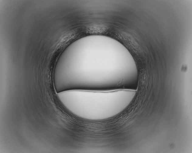 X0000096480743200801241146