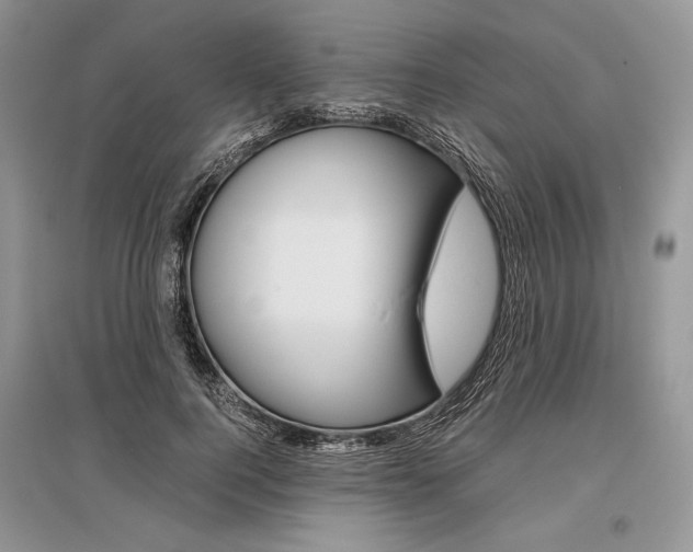 X0000096480744200801241146