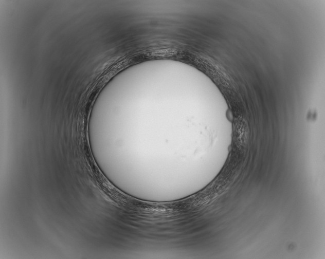 X0000096480745200801241146