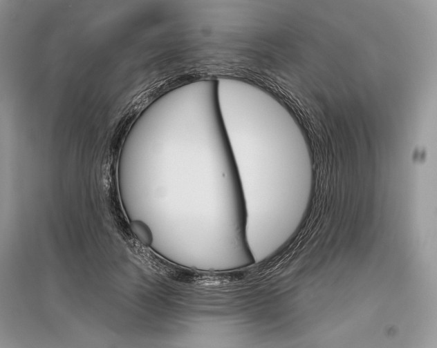 X0000096480746200801241146