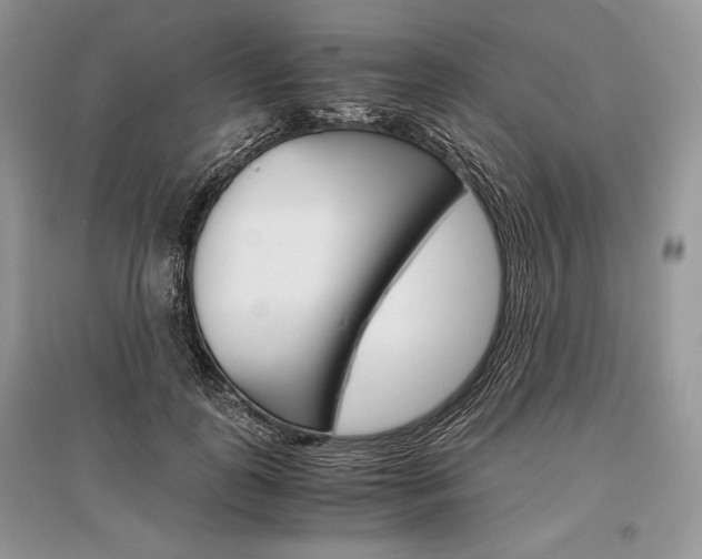 X0000096480747200801241146