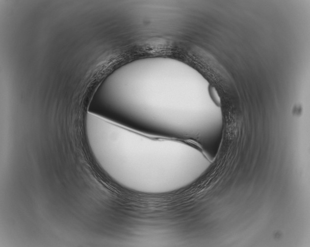 X0000096480748200801241146