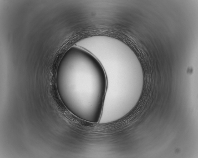 X0000096480750200801241146