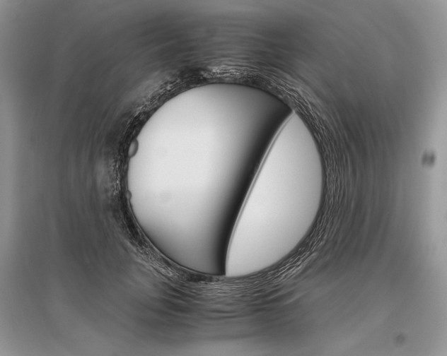 X0000096480751200801241146