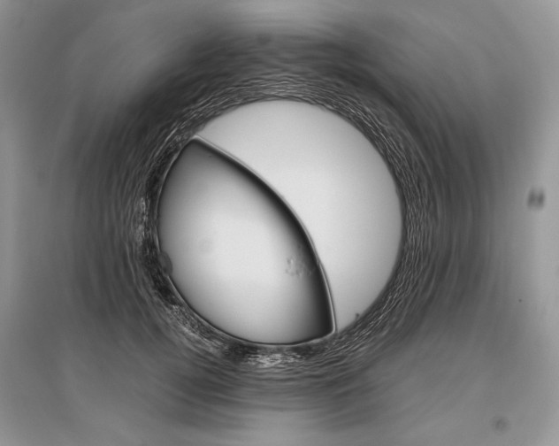 X0000096480752200801241146