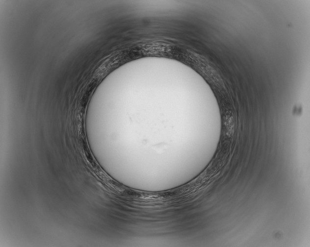 X0000096480753200801241146