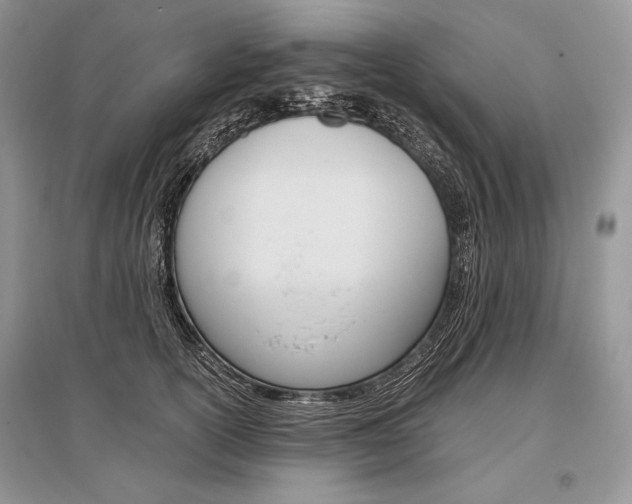 X0000096480754200801241146