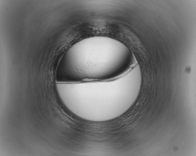 X0000096480756200801241146