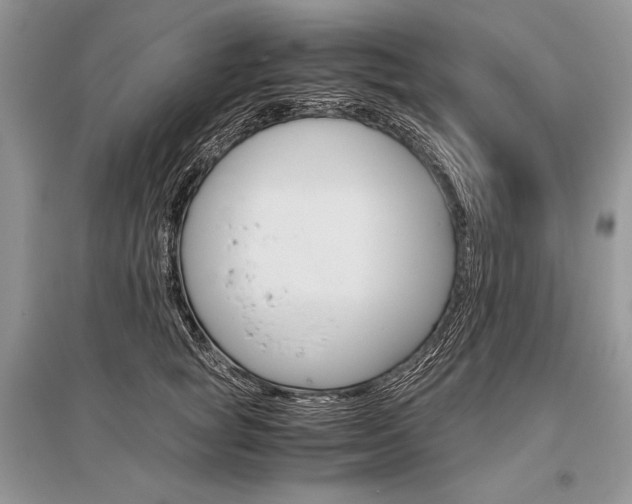 X0000096480757200801241146
