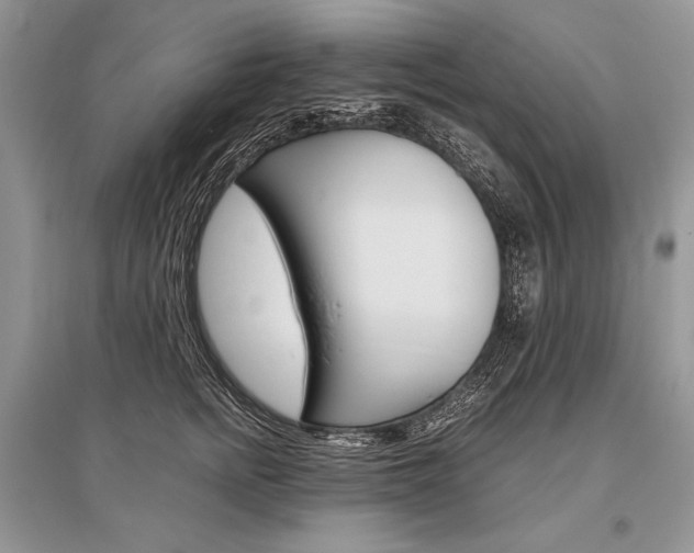 X0000096480758200801241146