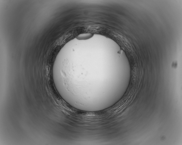 X0000096480759200801241146