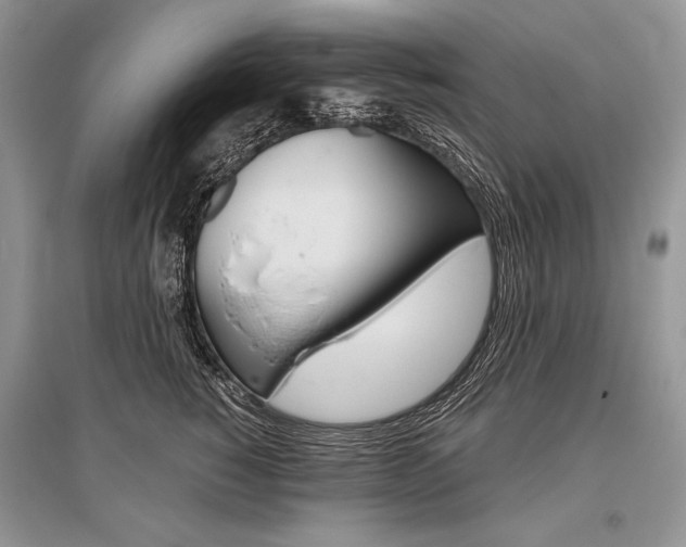 X0000096480760200801241146