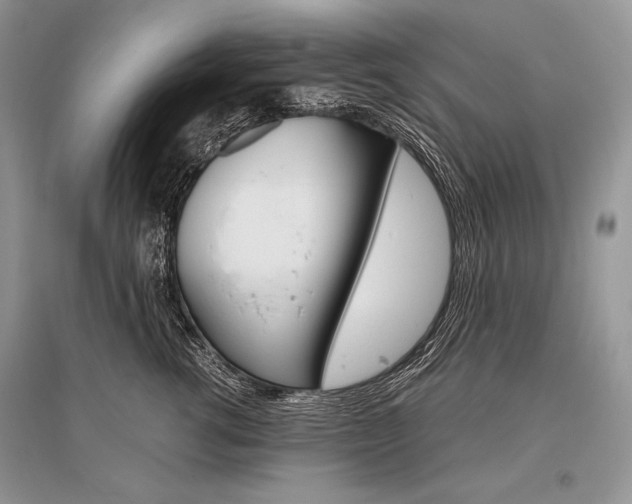 X0000096480762200801241146
