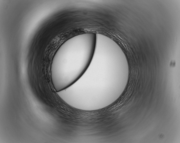 X0000096480763200801241146