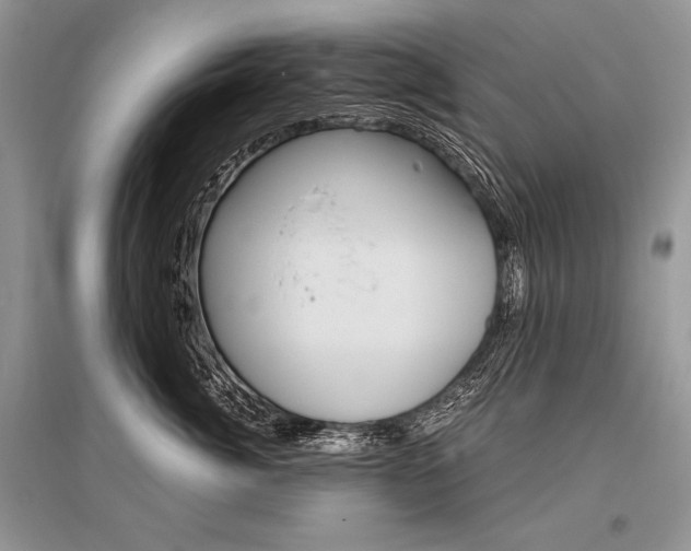 X0000096480764200801241146