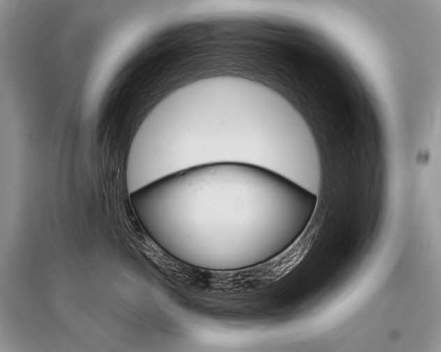 X0000096480766200801241146